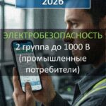 2 группа до 1000 В (промышленные потребители)